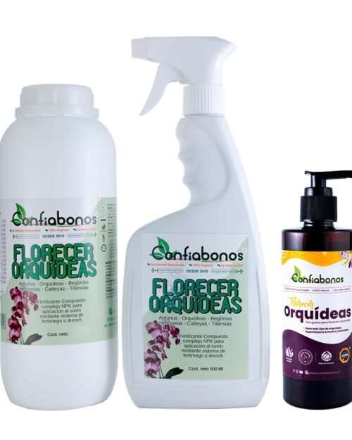 Florecer Orquidea